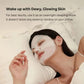 Bio Collagen Face Mask Overnight (2pcs)